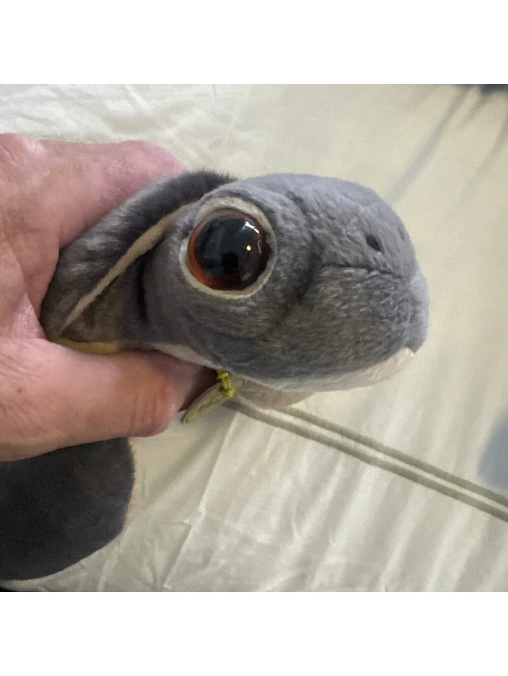 aurora turtle plush With Tags